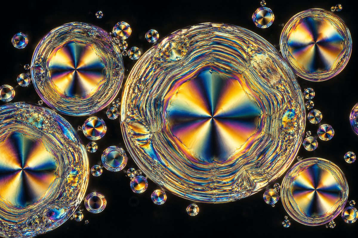Polarized light microscopy of lamellar liquid crystal lipid repair matrix.